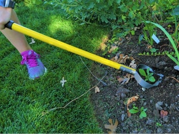 person using the weeding tool to remove a weed in a yard