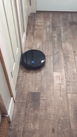 The robotic vac cleaning the floor against the wall