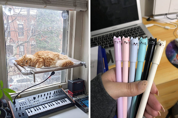a cat sleeping in a cat hammock connected to a window someone holding cat gel pens