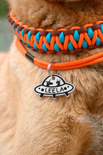 a dog wearing a UFO tag that says Leela