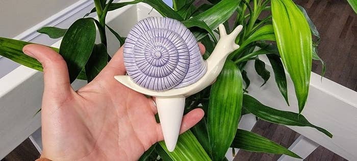 a hand holding the purple snail watering spike above a potted plant