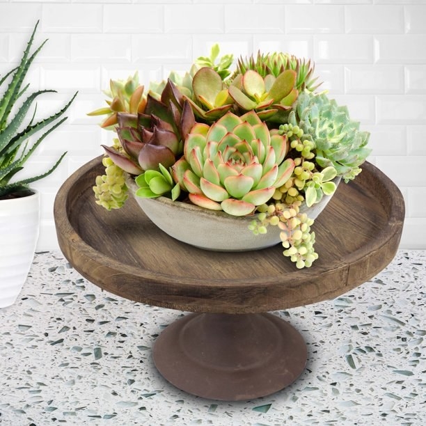 The circular wooden pedestal tray holding succulents