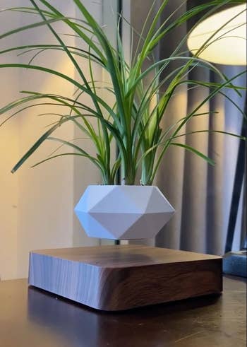A geometric white planter filled with a grassy plant that's levitating over a dark-colored wooden base