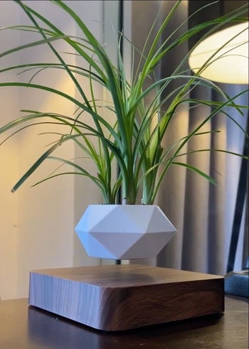 A geometric white planter filled with a grassy plant that's levitating over a dark-colored wooden base