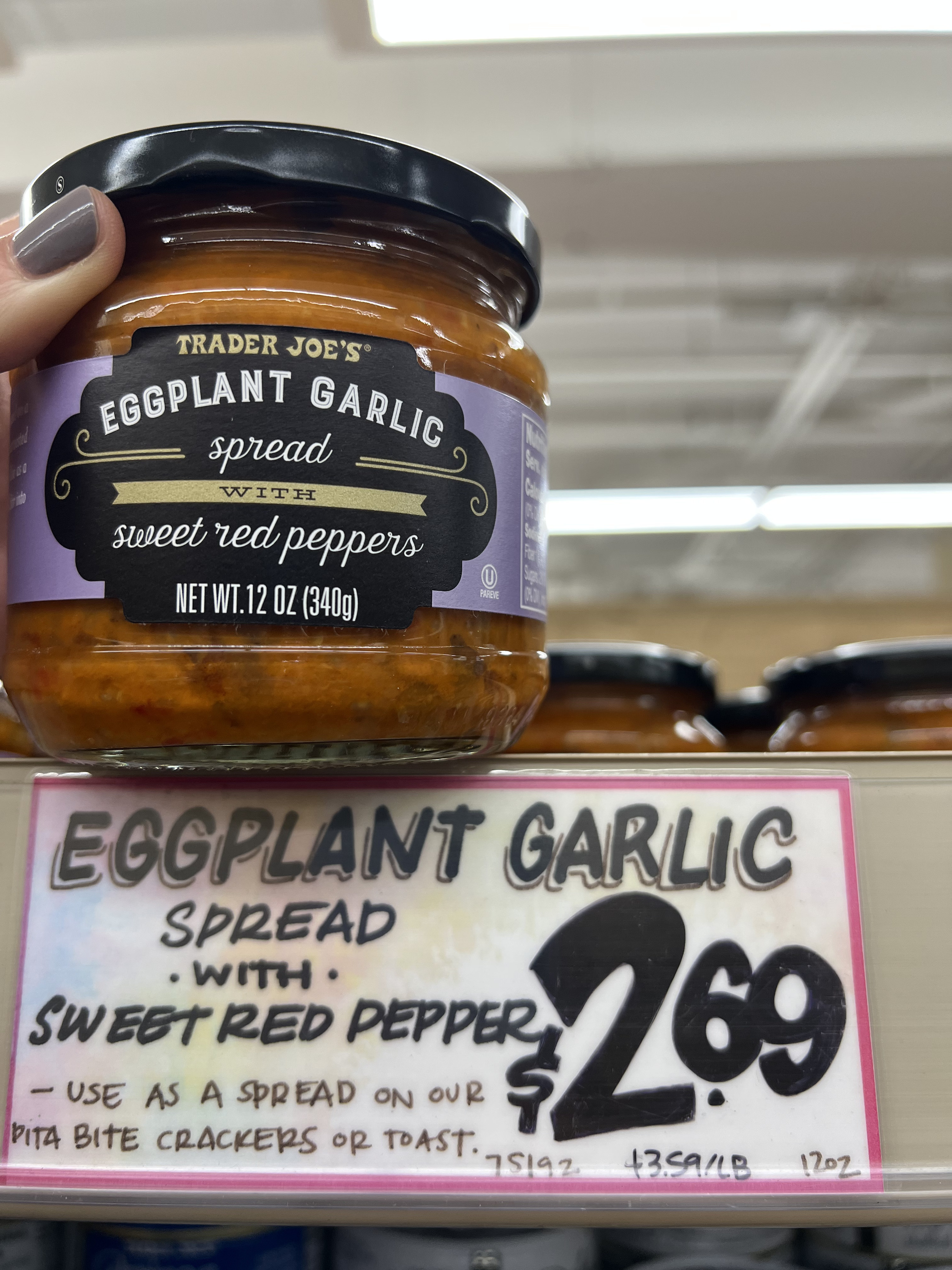 Eggplant Garlic Spread