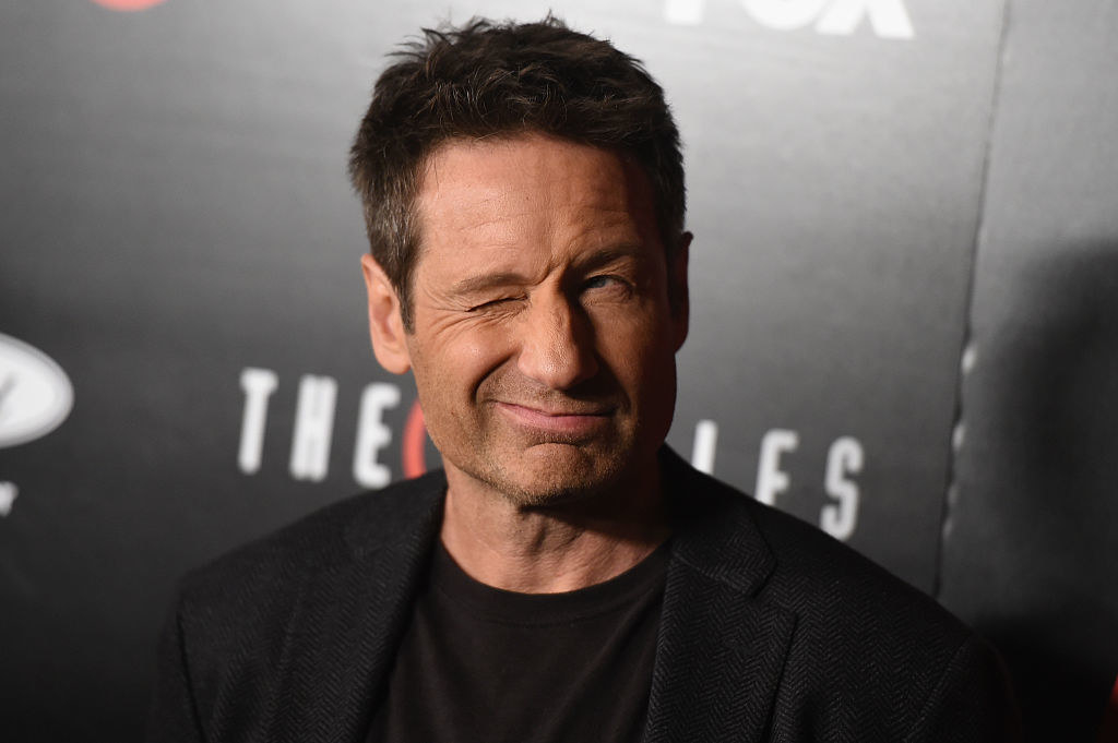 David Duchovny attends the premiere of Fox&#x27;s &quot;The X-Files&quot;