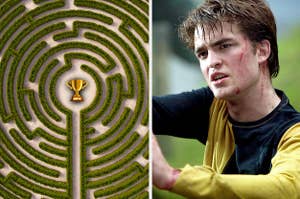a maze on the left with a trophy in the middle and cedric diggory on the right