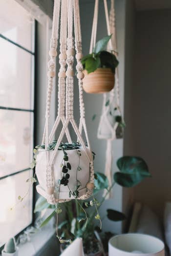 Reviewer photo of the white macrame plant hanger