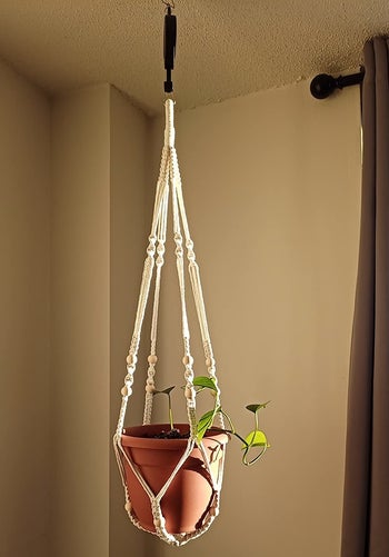 Reviewer photo of the white macrame plant hanger attached to a ceiling mount
