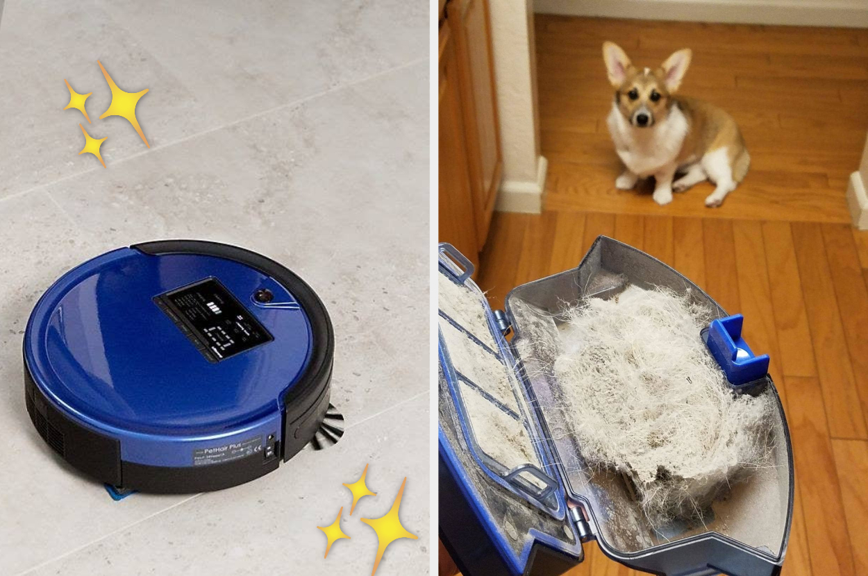 The best robot vacuum for best sale pet hair