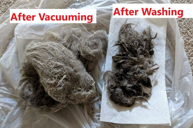 L: large pile of fur that was vacuumed out of a carpet next to a slightly smaller but still large pile of wet fur that came out of the carpet after it was washed