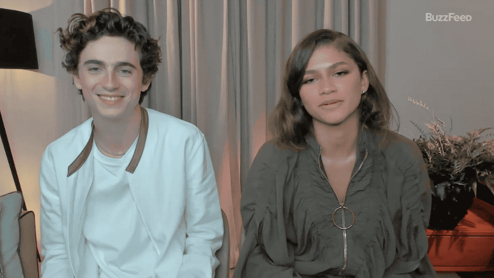 timothee chalamet  zendaya dune bff test
