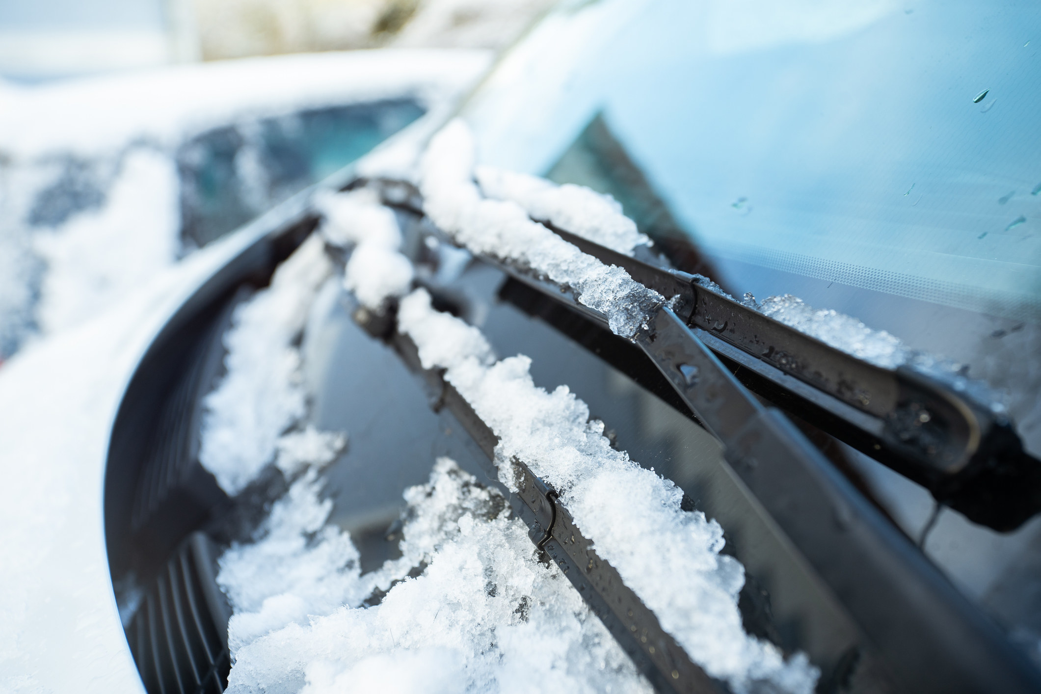 Car windshield wiper blades covered in snow.