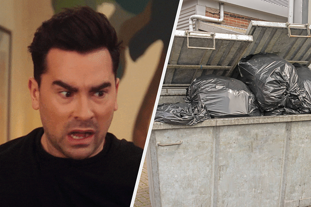 David Rose looking like OMG at a dumpster