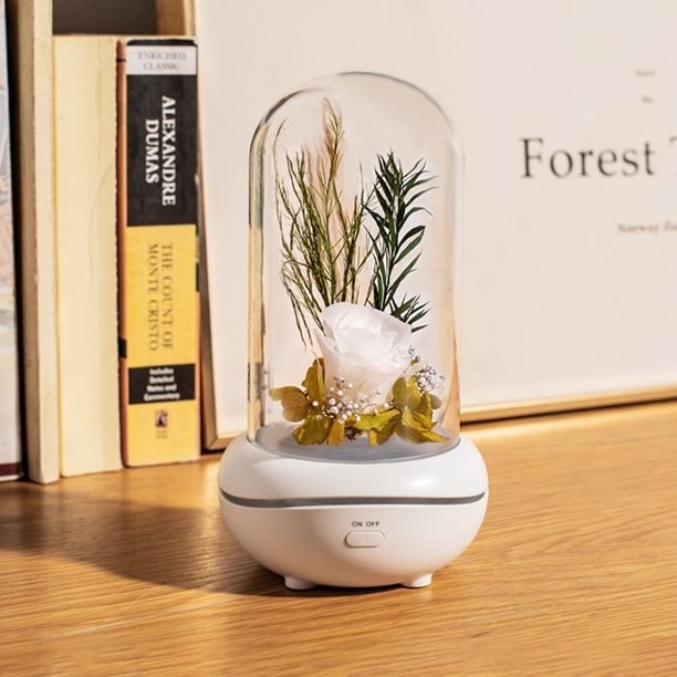 Essential oil diffuser with rose and plant in glass dome