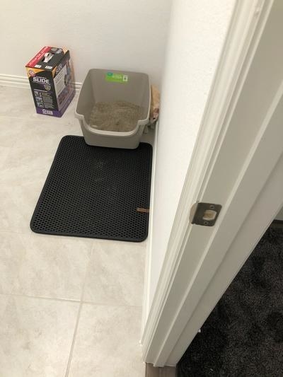 The mat in black in front of a litter box