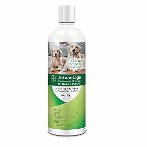 Product image of white and green bottle that reads &quot;Advantage treatment shampoo for dogs and puppies&quot;
