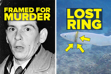 A man who was framed for murder and a mullet fish with a ring wrapped around its body