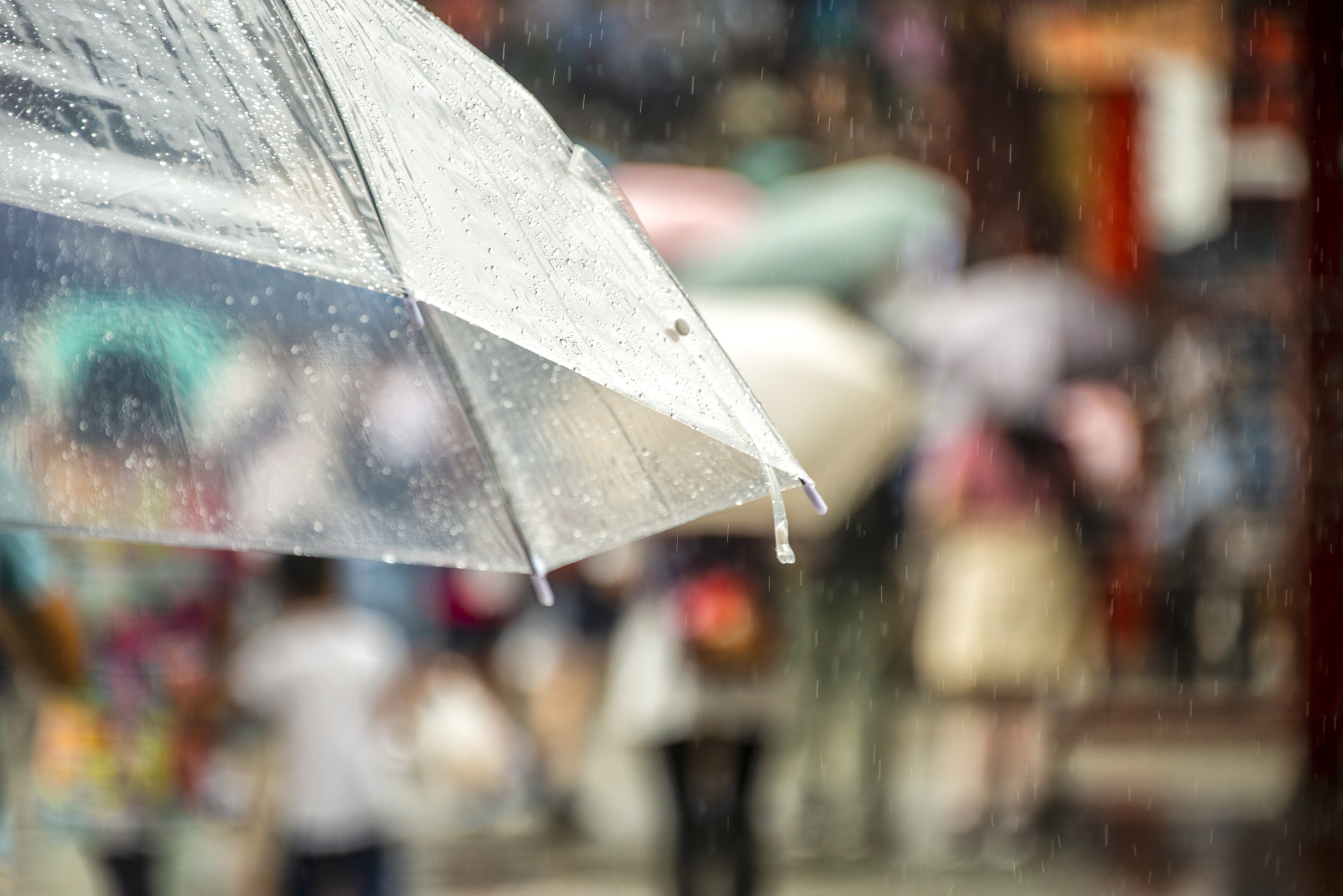 An umbrella in the rain.