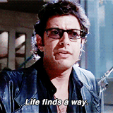 Jeff Goldblum in Jurassic Park saying life finds a way