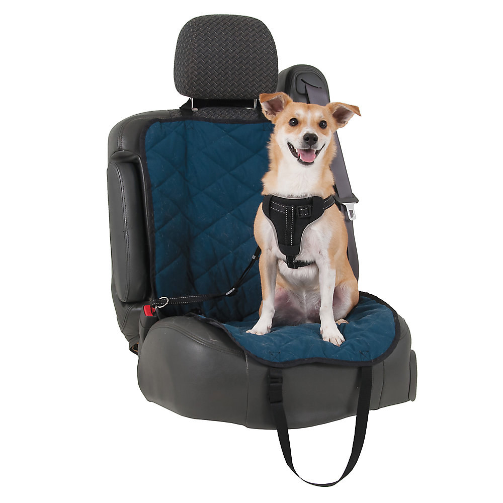 a dog wearing the harness in a car seat