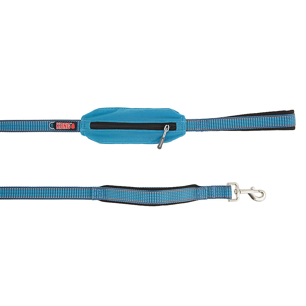 the leash in blue
