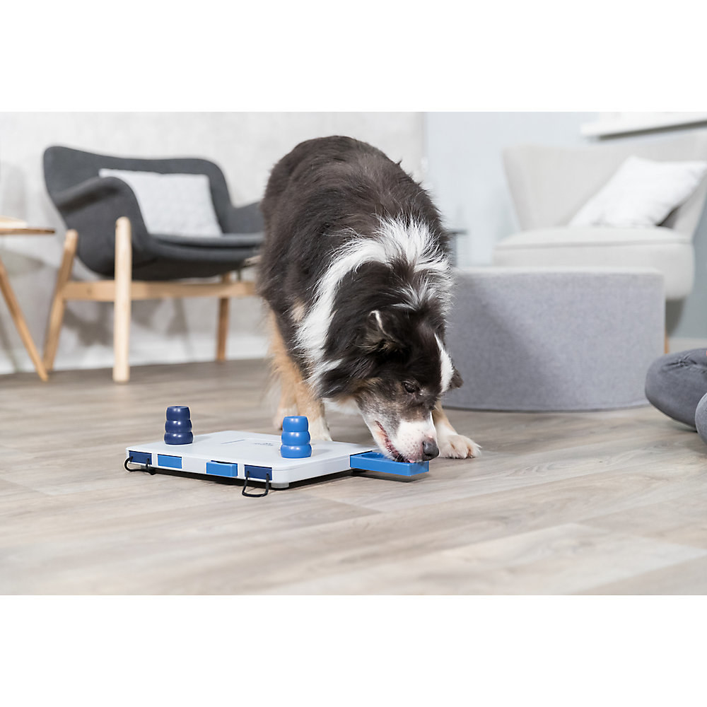 a dog with the puzzle mat toy