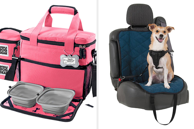 the backpack in pink