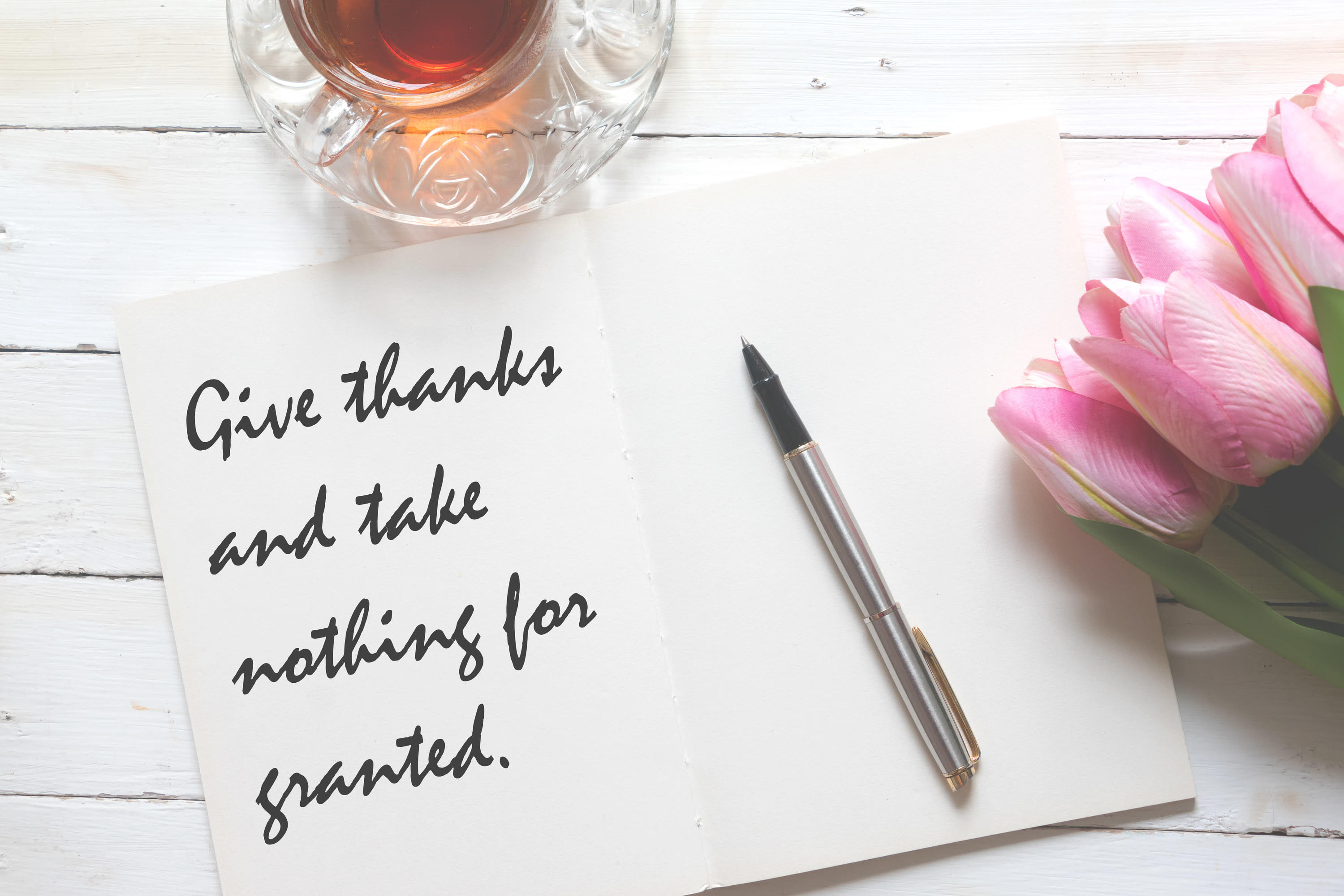Notebook page that says give thanks and take nothing for granted
