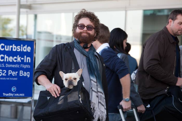 Galifianakis walks in front of an airport with a dog in a carrier