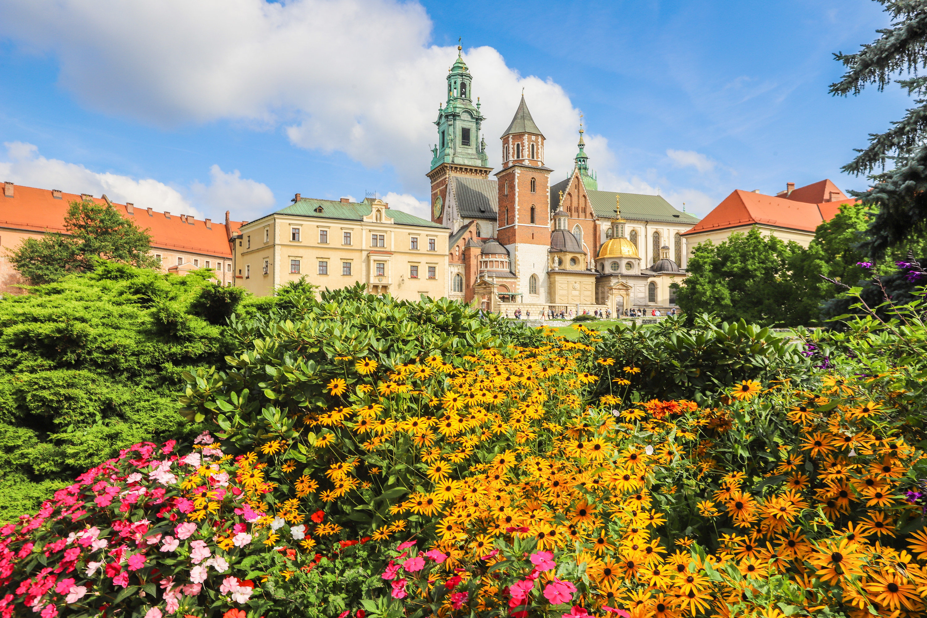 Colorful flowers bloom in front of European buildings.