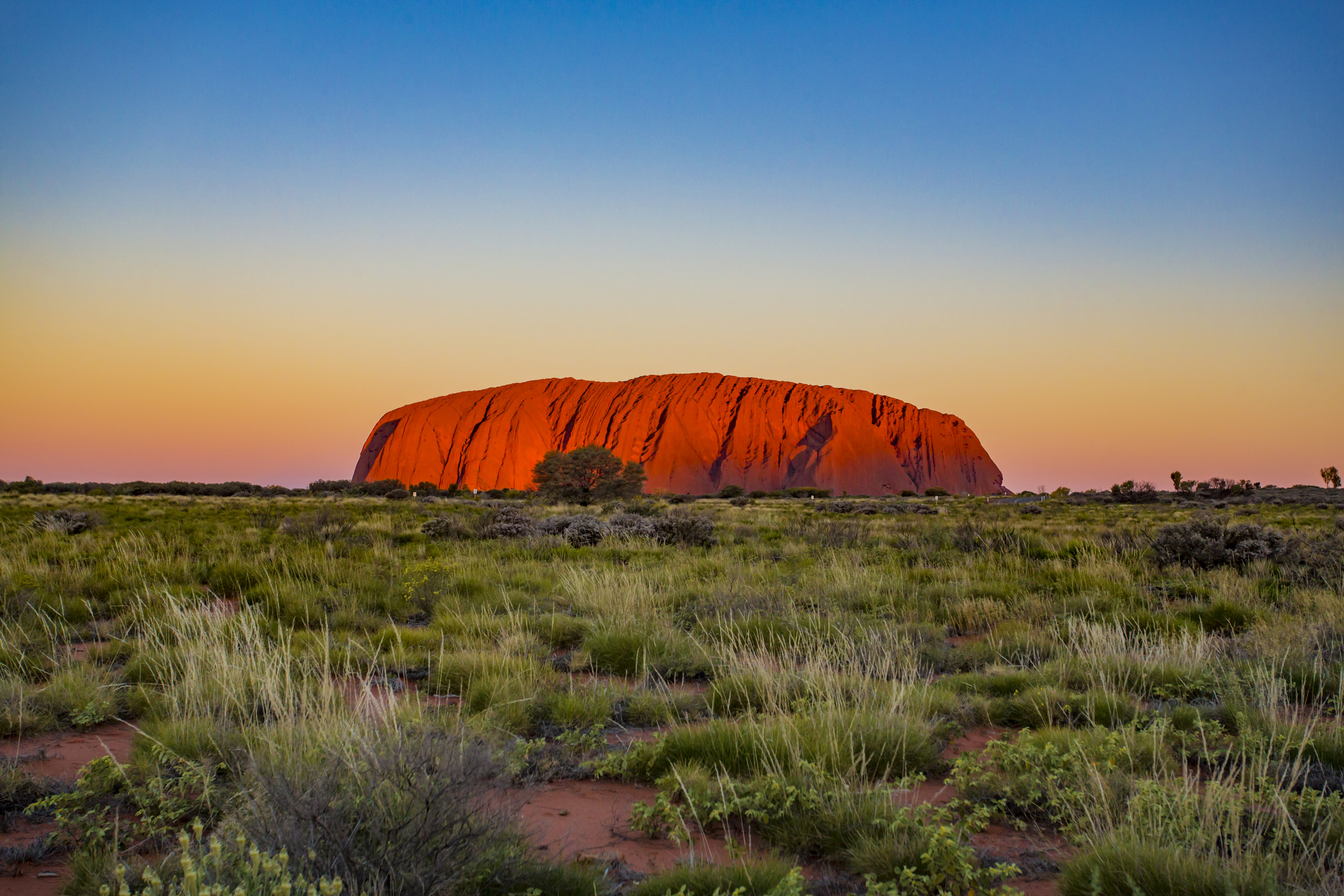 改变颜色的日落时分的乌鲁鲁,著名的巨大的庞然大物岩石在澳大利亚沙漠。