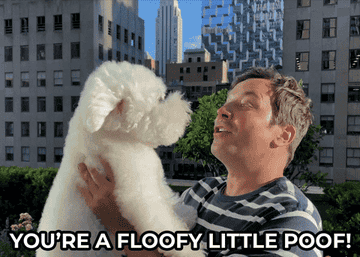 Jimmy Fallon holding a dog and saying &quot;You&#x27;re a floofy little poof&quot;