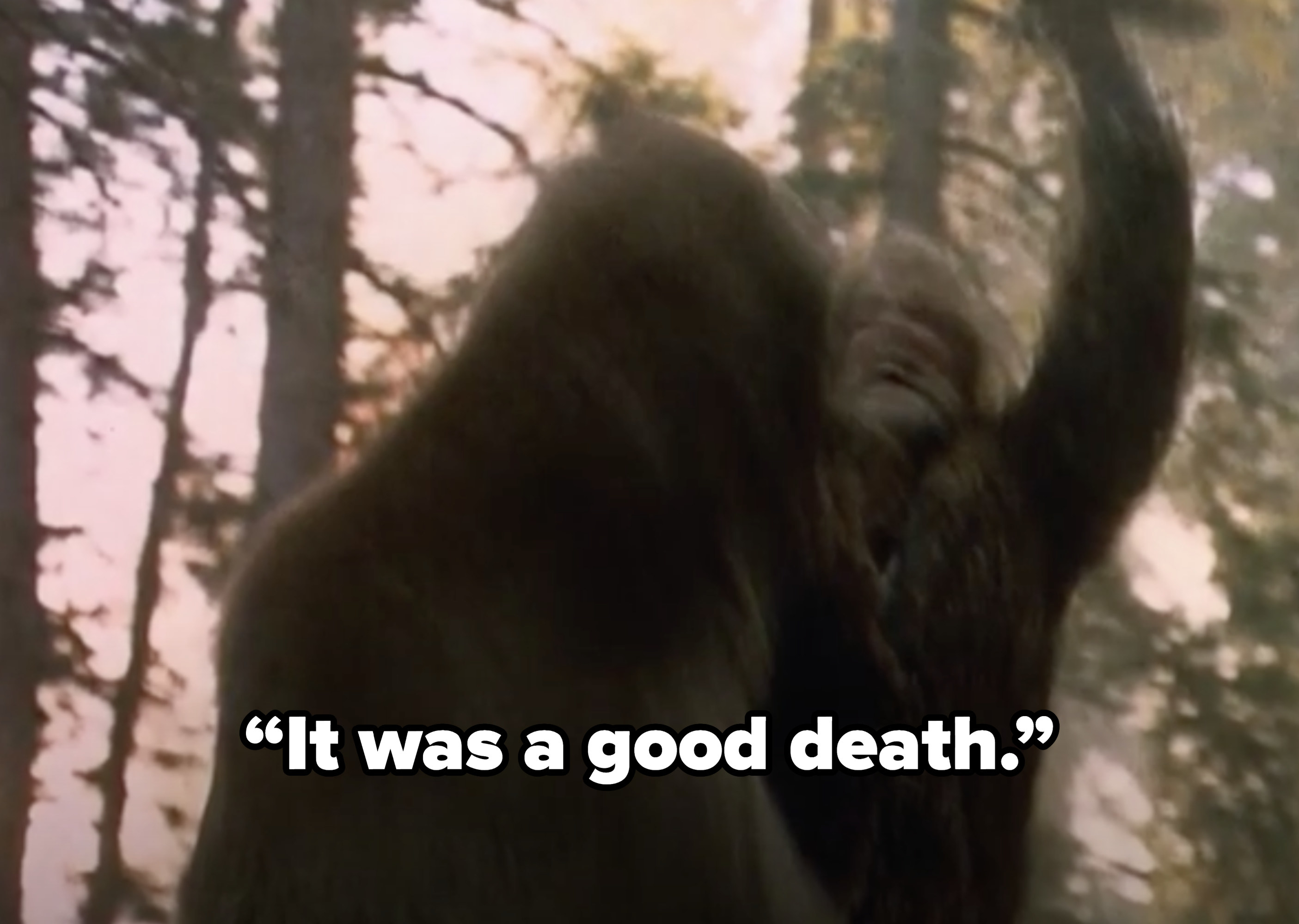 A blurry still of a man attacking a bear saying, &quot;it was a good death&quot;