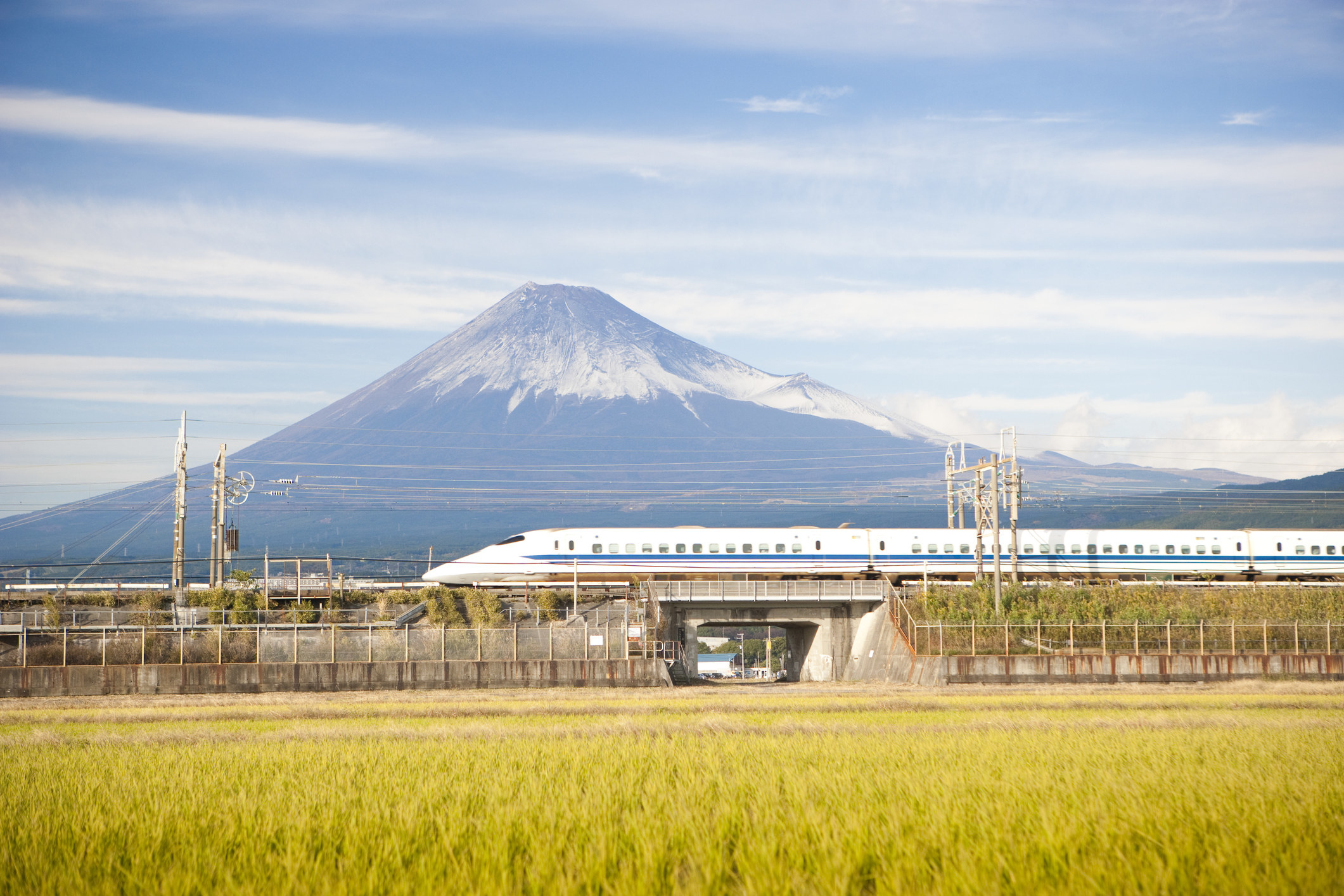 A Japanese high speed train.