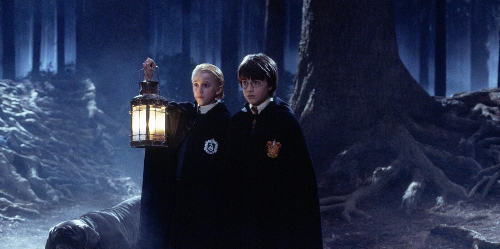 harry and draco in the forbidden forest