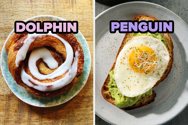 On the left, a cinnamon roll labeled dolphin, and on the right, a piece of avocado toast topped with a fried egg labeled penguin