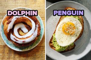 On the left, a cinnamon roll labeled dolphin, and on the right, a piece of avocado toast topped with a fried egg labeled penguin