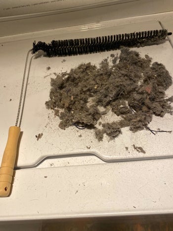 Reviewer's coil brush with pile of removed dust next to it