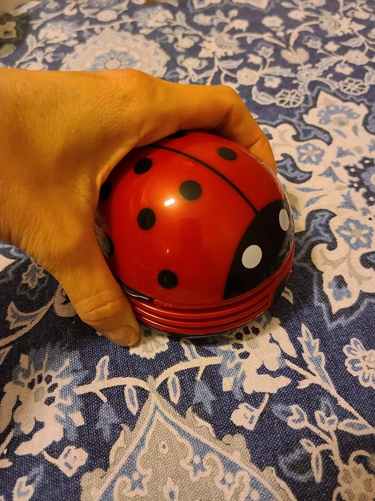 a reviewer photo of the small lady bug vacuum