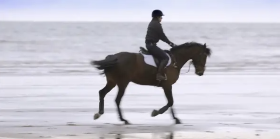 Freya riding a horse on the beach