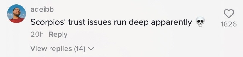 scorpios&#x27; trust issues run deep apparently [skull emoji]