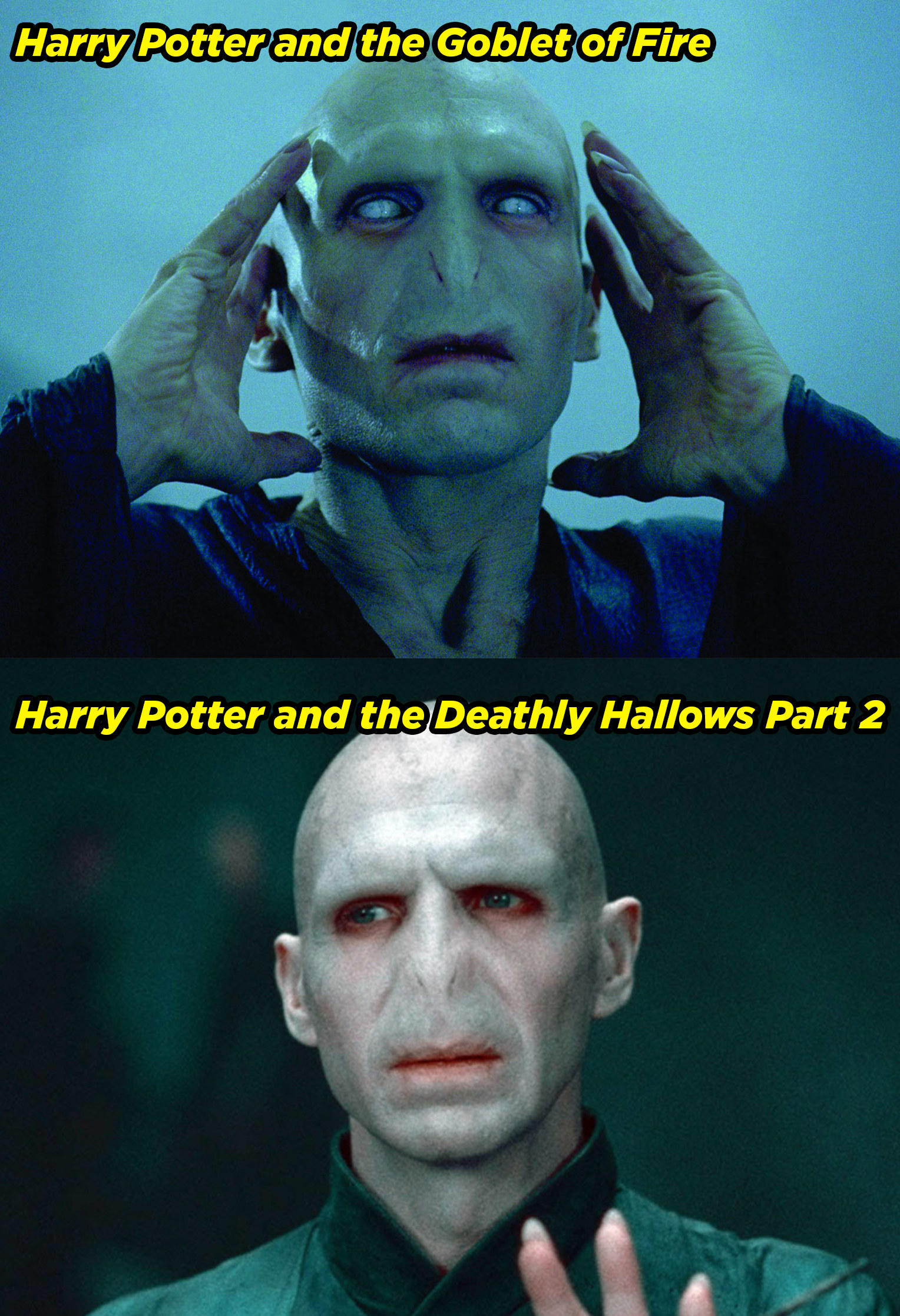 Ralph Fiennes in Goblet of Fire and Deathly Hallows Part 2