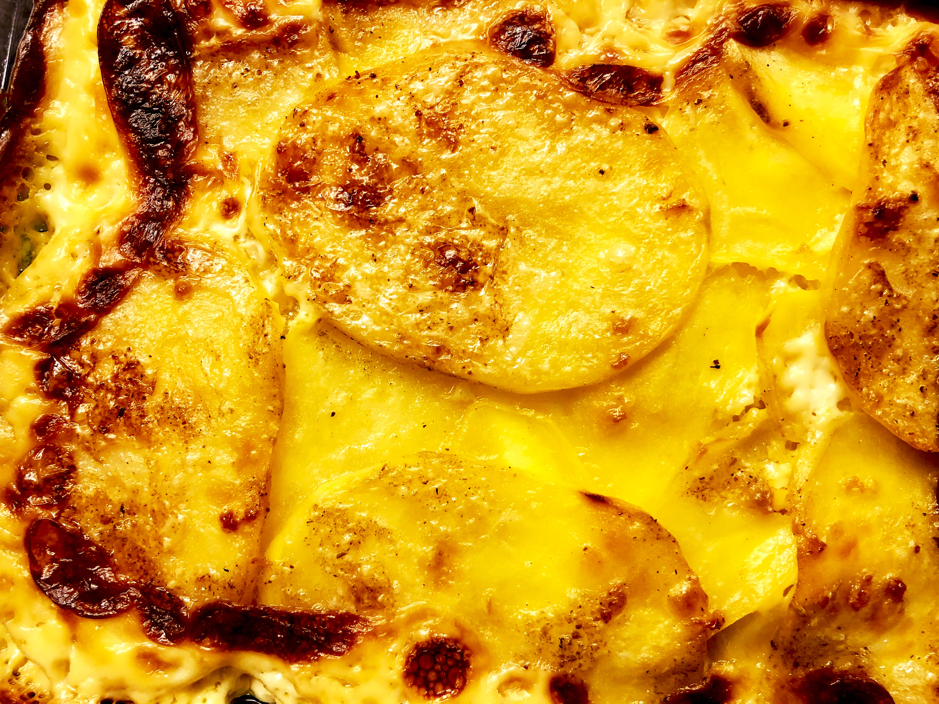 close-up image of potatoes au gratin