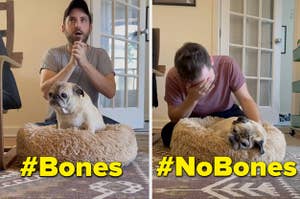 Screenshots from TikToks of the Bones/No Bones pug