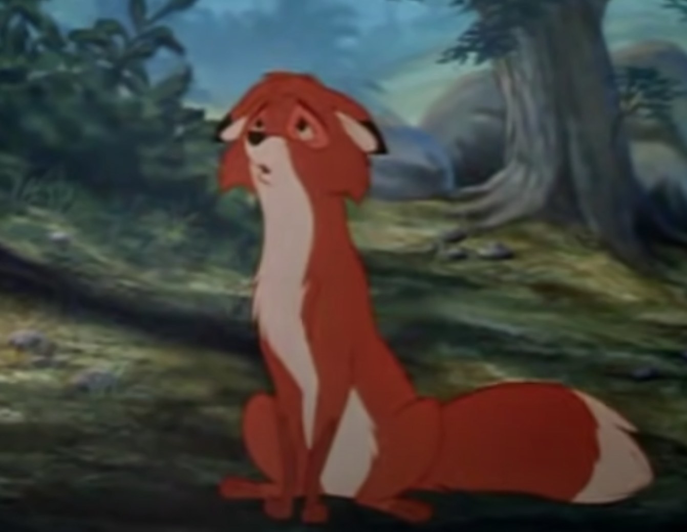 Tod from The Fox and the Hound looking sad