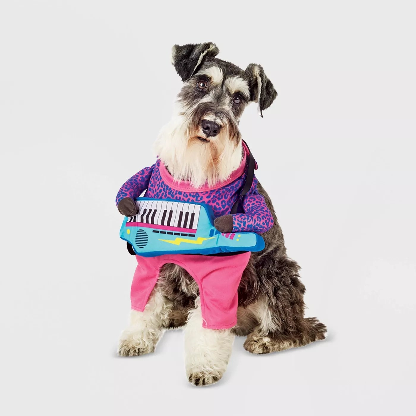A dog wearing the guitarist costume