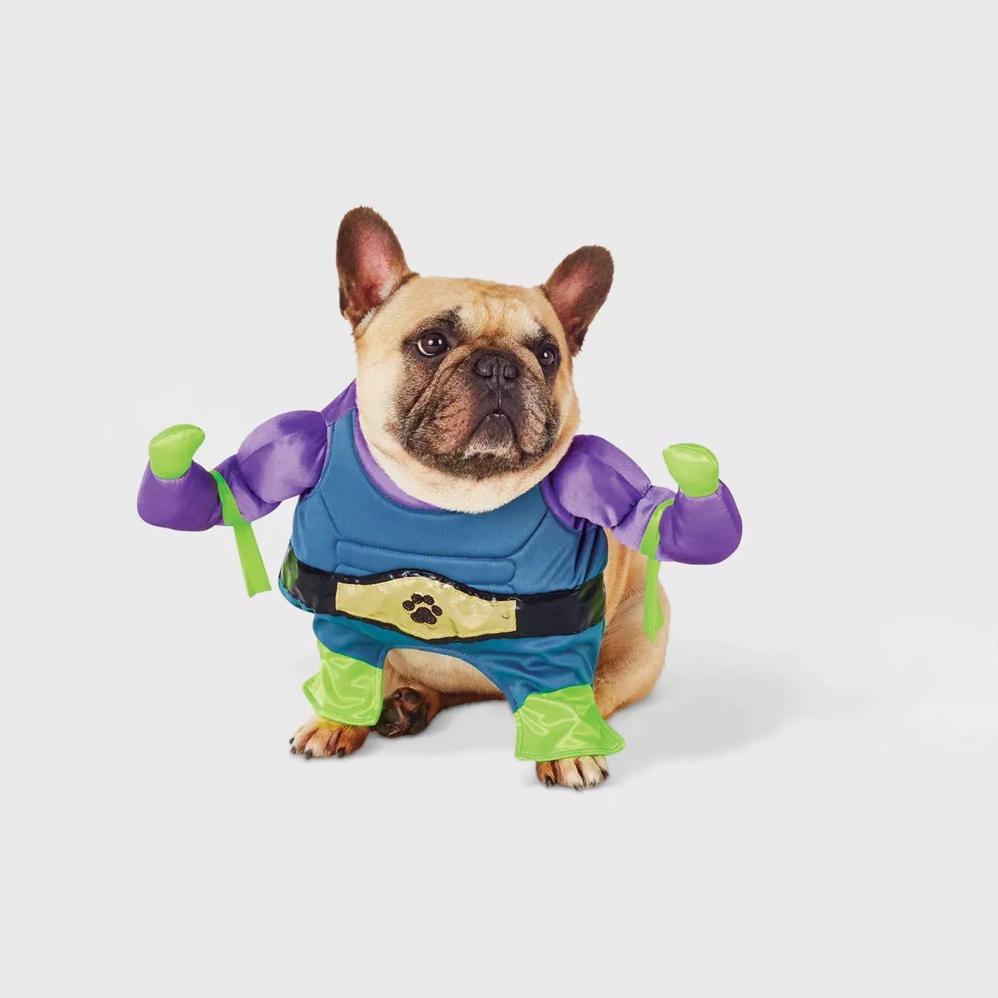 A dog wearing the wrestler costume