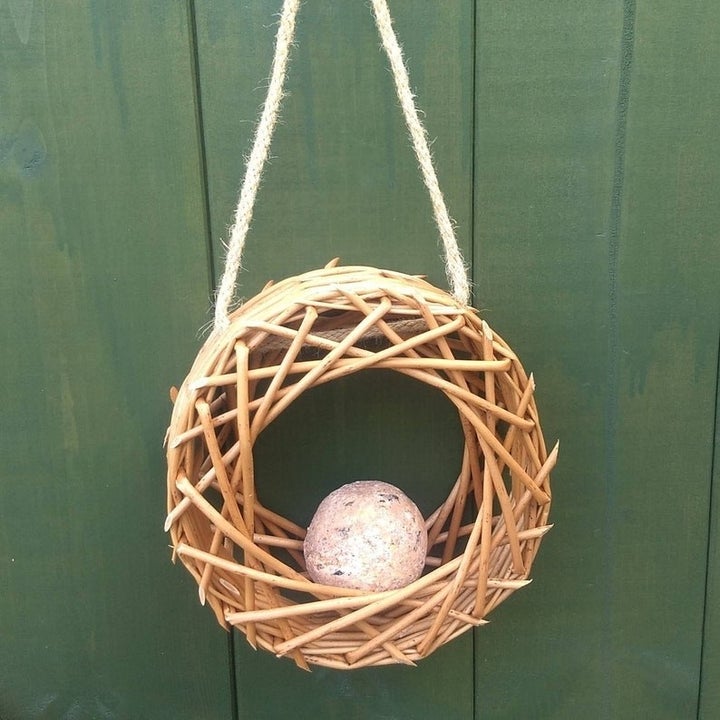 Image of the bird feeder hanging