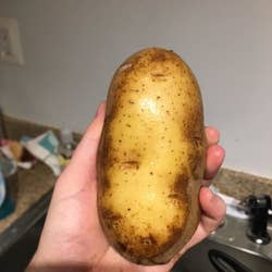 reviewer holding a clean potato 